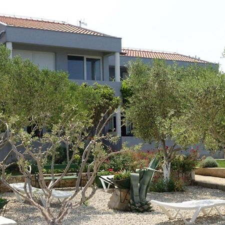 Apartments Ivo 자톤 외부 사진